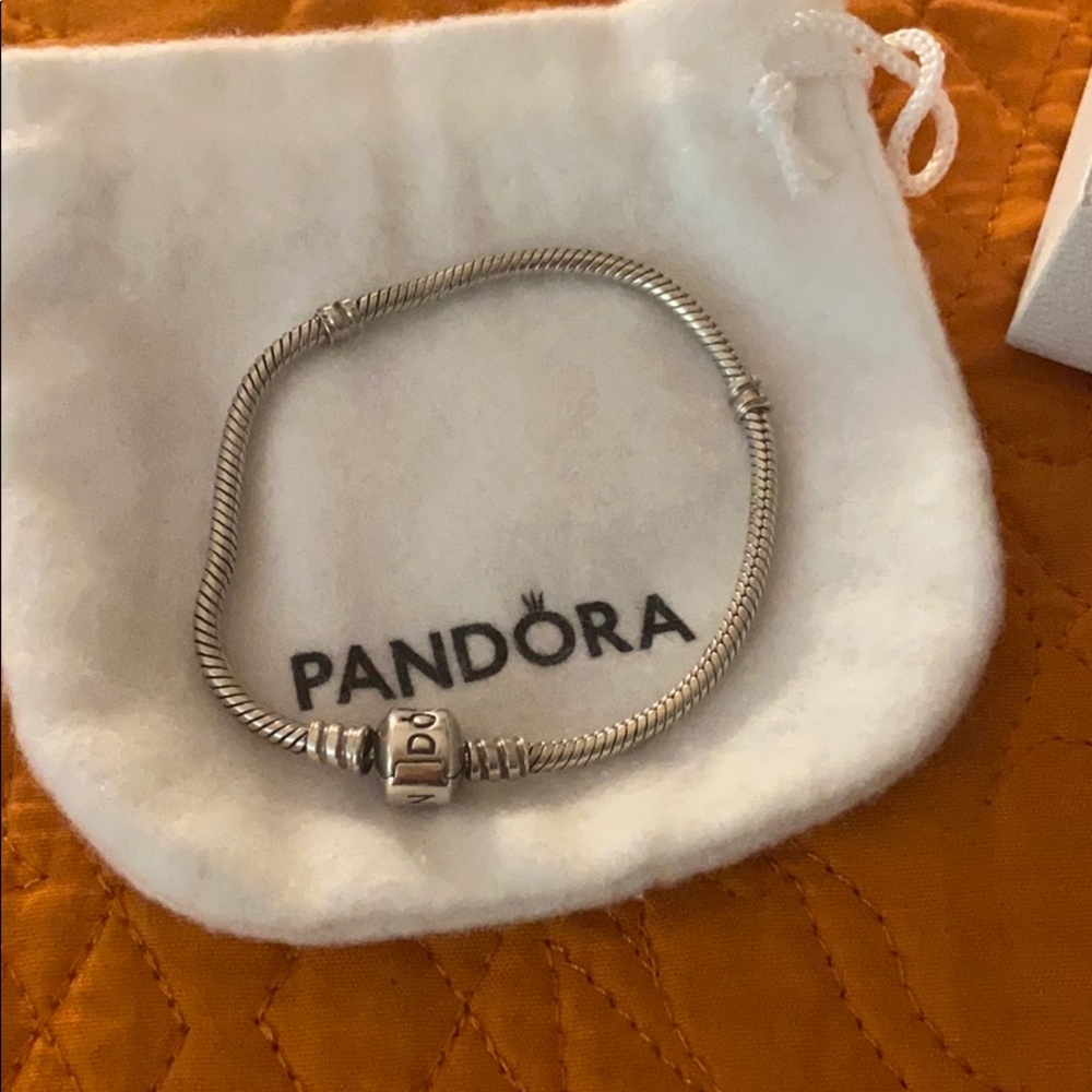 Pandora bracelet